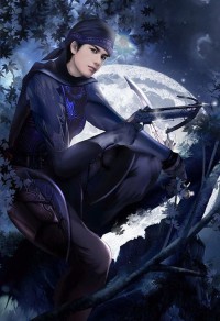 完美风暴